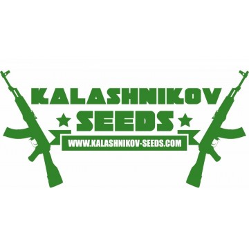 Kalashnikov Express Fast Fem.