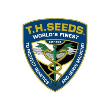 T.H. Seeds X Massive...