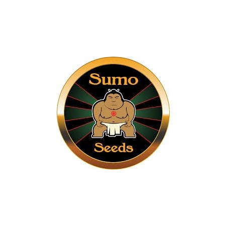 sumo seeds